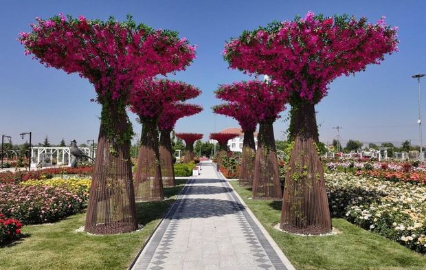 Konya’da 50 bin gülle büyüleyen Karatay Mevlana Gül Parkı