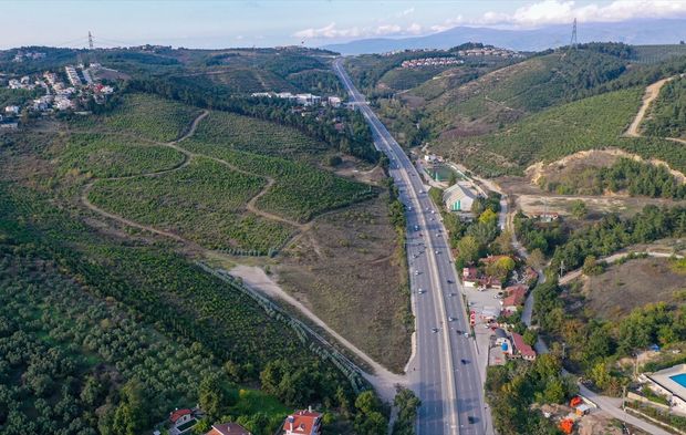 Bursa'da yıllar önce yanan ormanlar yeniden hayat buluyor