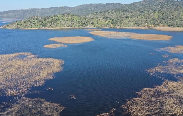 Kış yağışları Aydın'daki Azap Gölü'ne can verdi