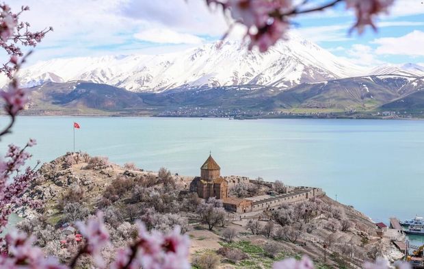 Badem çiçekleri Akdamar Adası’nı süsledi