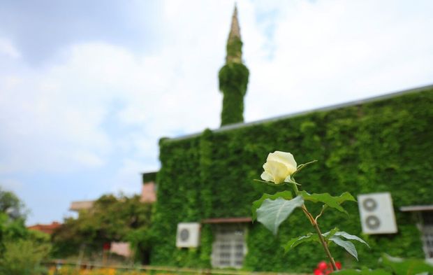 Botanik bahçeyi andıran cami! Birçok dizi ve film sahnesine ev sahipliği yapıyor...