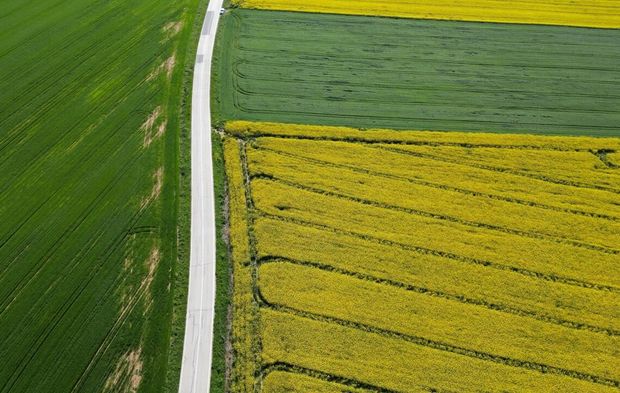 Kanola sarısı ve buğday yeşili tarlaları renklendirdi