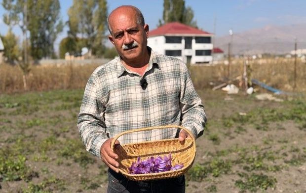 Esnaflığı bıraktı, tarlada servet yetiştiriyor! Kilosu tam 1 milyon TL