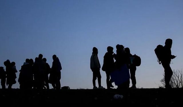 Edirne'de 17 düzensiz göçmen yakalandı