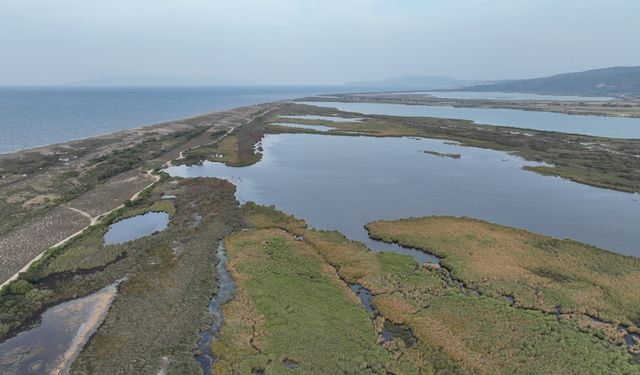 Karacabey longoz ormanları sonbaharda da güzel