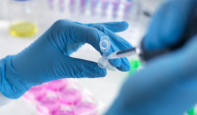 Türkiye'nin ilk özgün ilaç adayının faz 1 çalışması tamamlandı