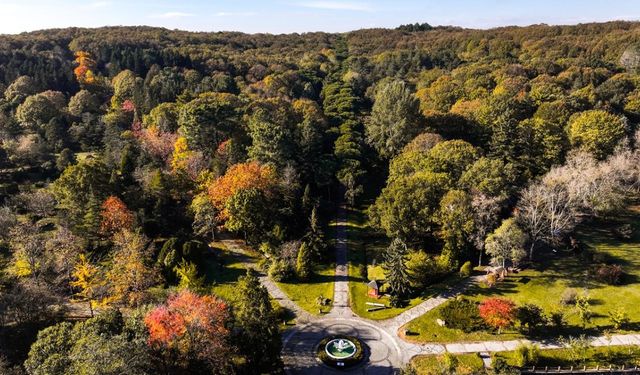 Atatürk Arboretumu’nda sonbahar renkleri