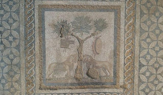 Düzce'de ‘Dionysos Kült Mekanı’nı yansıtan aslanlı mozaik bulundu