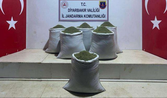 Diyarbakır'da 229 kilogram esrar ele geçirildi