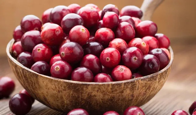 Kızılcık tüketimi, yağlı karaciğer hastalığının etkilerini azaltıyor