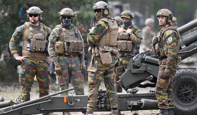 Alman askerleri Grönland'dan ayrılıyor