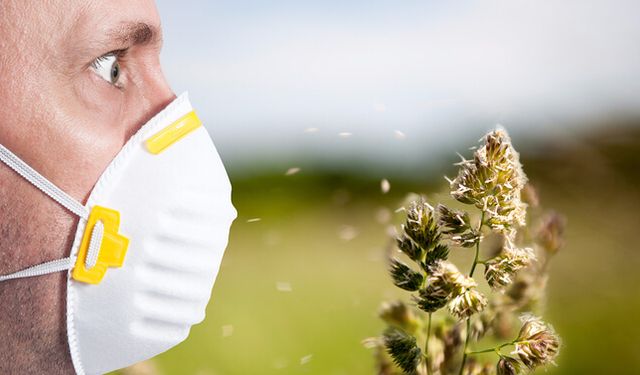 Bağışıklığı düşüren polen alerjisine dikkat