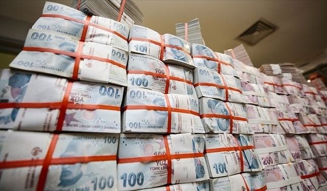 Türkiye Kalkınma ve Yatırım Bankasının aktifleri 141,6 milyar liraya ulaştı