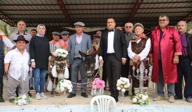 Antalya'da eşekler dünya evine girdi: Düğünde altın takıldı
