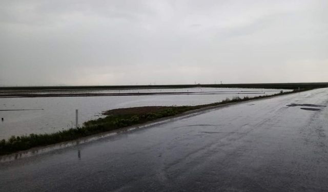 Konya'da sağanak: Tarım arazileri sular altında kaldı