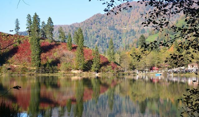 Borçka Karagöl Tabiat Parkı 600 binden fazla turisti ağırladı