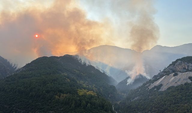 Denizli’deki orman yangını büyük ölçüde kontrol altına alındı