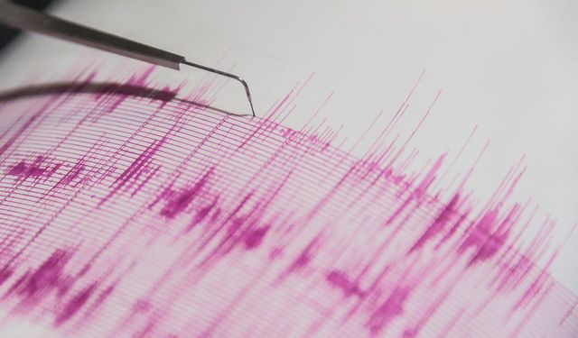 Muğla'da panik yaratan deprem