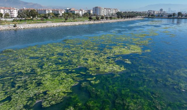 Bakanlıktan 'İzmir için nefes' projesi