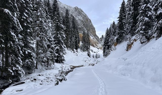 Anadolu'nun yüce dağı Ilgaz doğa tutkunlarını cezbediyor