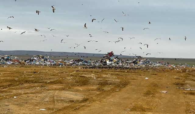 Ankara Büyükşehir Belediyesi'nin iki ihlaline 5 milyon 130 bin TL çevre cezası