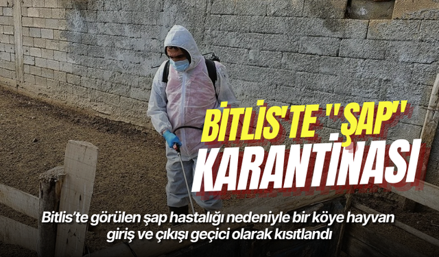 Bitlis'te "şap" karantinası