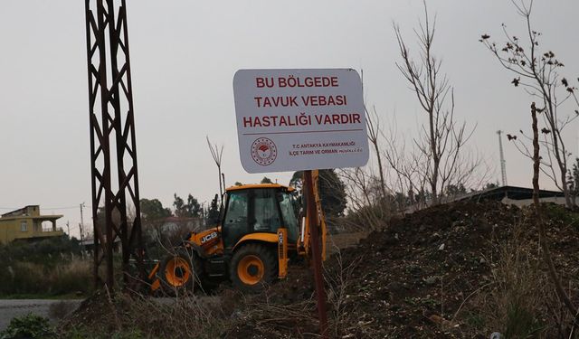 Hatay'da kuş gribi alarmı: Mahalle karantinaya alındı