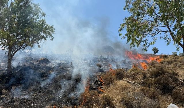 Bodrum'da makilik ve otluk alanda yangın çıktı