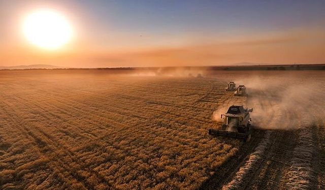 Çiftçilere 8,7 milyar lira tarımsal destekleme ödemesi bugün yapılacak