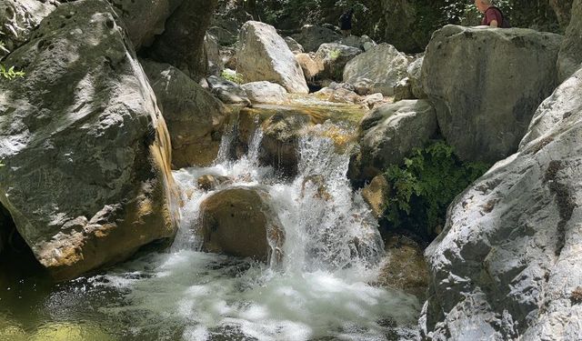 Doğanın kalbinde bir cennet: Kocakesme Şelalesi