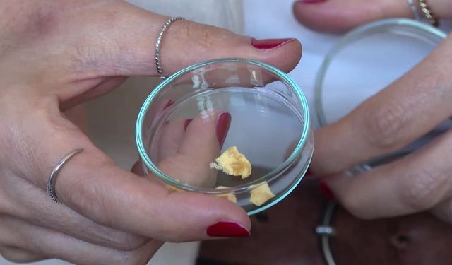 Balık kılçığı yüksek kaliteli kolajene dönüştürüldü