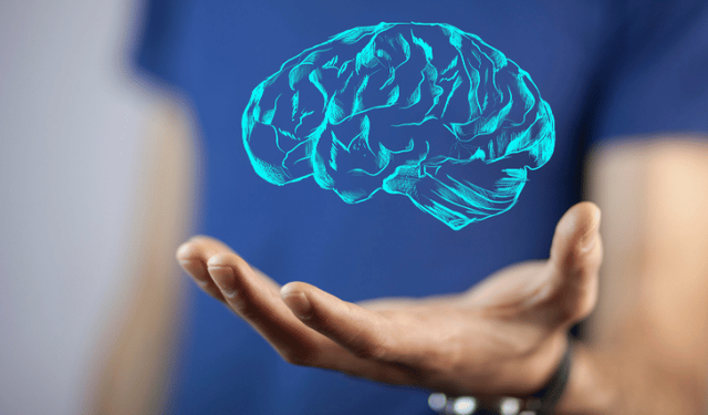 Araştırma: İnsan beyni 5 evreden geçiyor, 32 yaşına kadar ergenlik dönemini yaşıyor