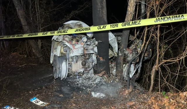 Ağaca çarpan aracın sürücüsü öldü