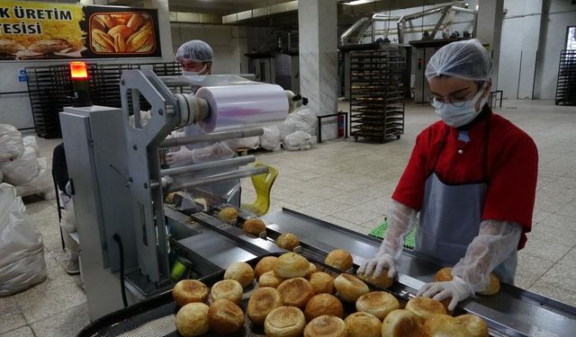 Fabrika gibi çalışan lise! Yıllık cirosu 1,5 milyon