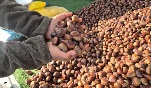 Günde 100 bin TL'den fazla kazandırıyor! Sokakları ısıtan kış klasiği...