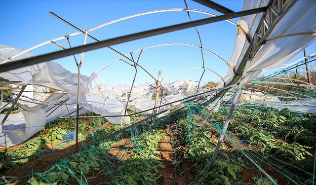 Tarım sigortaları kapsamında üreticilere 4,2 milyar lira hasar tazminatı ödendi