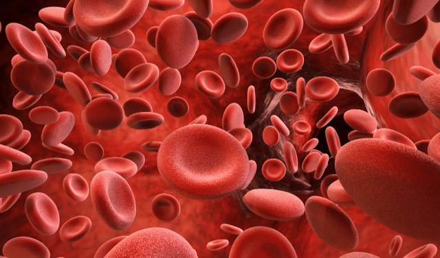 Araştırma: Trombositler dondurularak iki yıla kadar saklanabilir