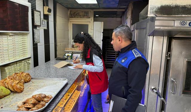 Şanlıurfa'da 171 ürün imha edildi, 2 iş yeri mühürlendi