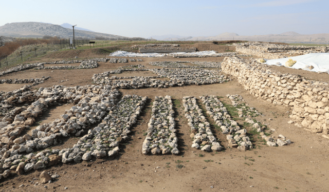 Çayönü Tepesi'nde yaşayan insanların genetik haritası çıkarılıyor