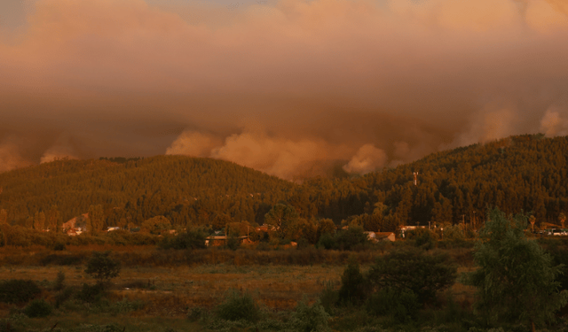 Şili'nin güneyinde meydana gelen orman yangınlarında 18 kişi öldü