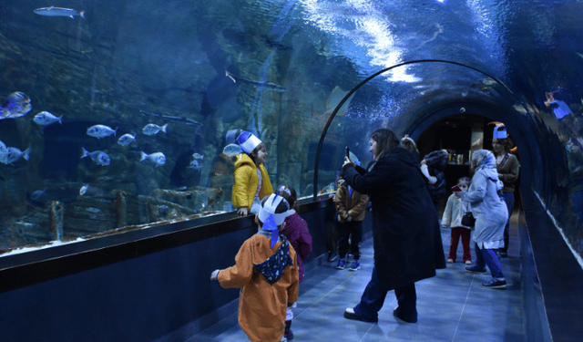Trabzon Akvaryum geçen yıl 215 bini aşkın ziyaretçi ağırladı