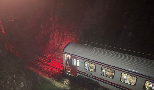 Yolcu treninin lokomotifi ve vagonu toprak kayması nedeniyle raydan çıktı