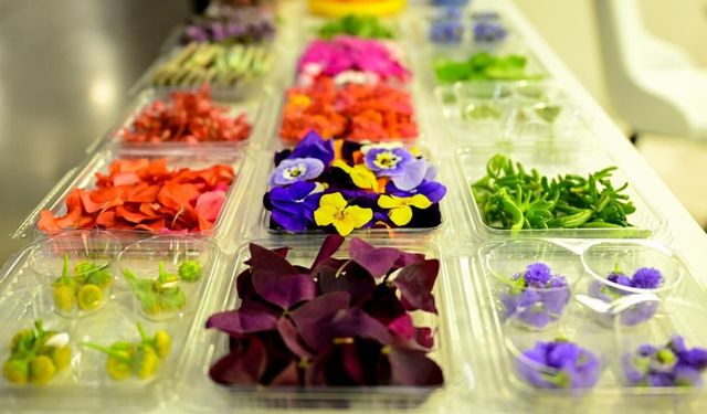 Gastronomi sektöründe yenilebilir çiçeklerin popülerliği arttı