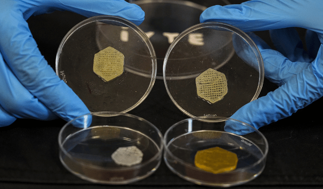 İzmir'de geliştirilen "yara örtüsü" kronik yaralar için umut olacak