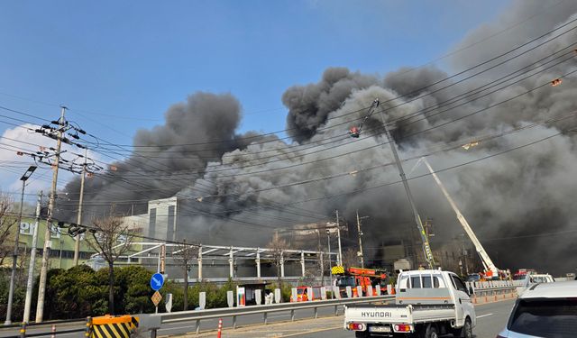 Güney Kore'de fabrikada patlama ve yangın: 14 ölü, 59 yaralı