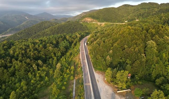 Google'da 3,5 milyon kez arandı! Bolu Dağı tartışmasının altından bakın ne çıktı...