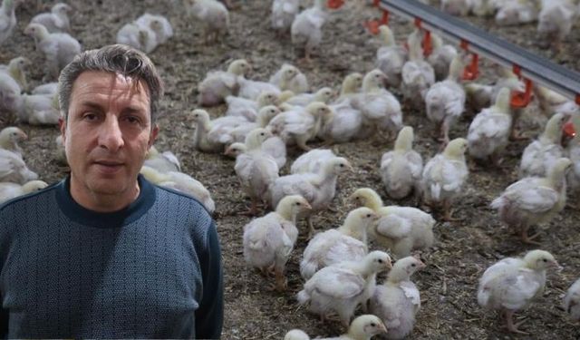 Devlet desteği hayalini gerçeğe dönüştürdü! İkinci çiftliğini açtı, yılda 360 ton üretim yapıyor...