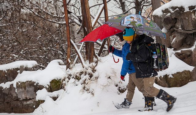 Hakkari merkez ve Yüksekova ilçesinde eğitime bir gün ara verildi
