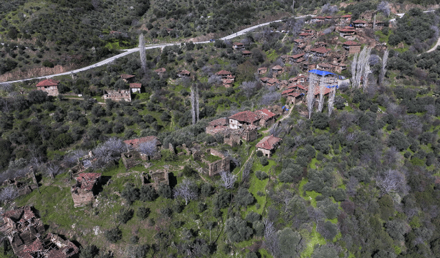Efeler Yolu yörede turizm hareketliliği oluşturuyor