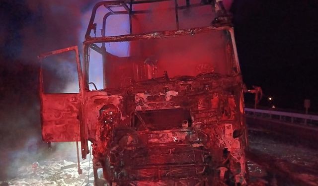 Samsun'da seyir halindeki ahşap yüklü tır yandı